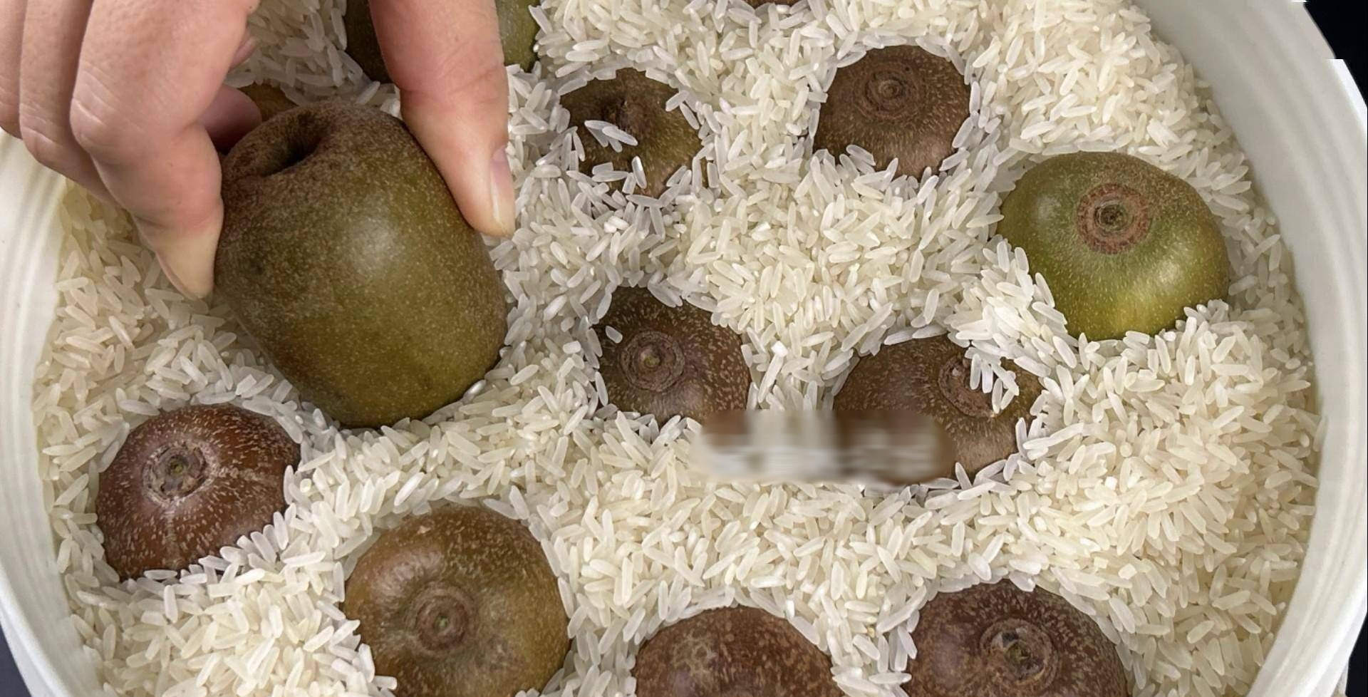 Loại quả bé xíu mệnh danh là "siêu trái cây", giàu vitamin C hơn cam, ra chợ là thấy - Ảnh 6.