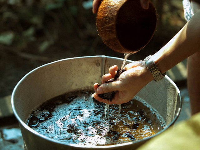 Loại quả mọc dại ở Việt Nam có giá 2,1 triệu đồng/kg ở Trung Quốc: Dùng để tắm, ngâm chân cực tốt- Ảnh 3.