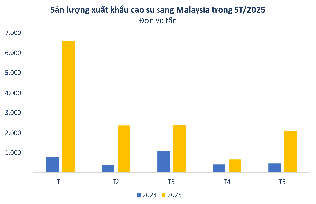 Hàng chục nghìn tấn 'vàng trắng' của Việt Nam được Malaysia đổ tiền mua: xuất khẩu tăng hơn 300%, nước ta sở hữu diện tích trồng hơn 900.000 ha- Ảnh 2. Hàng chục nghìn tấn 'vàng trắng' của Việt Nam được Malaysia đổ tiền mua: xuất khẩu tăng hơn 300%, nước ta sở hữu diện tích trồng hơn 900.000 ha- Ảnh 2.