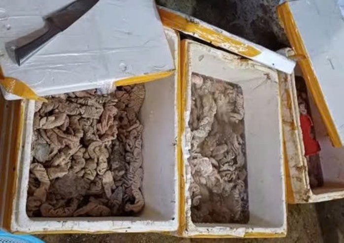 Phát hiện kho hàng tại Đà Nẵng chứa 3,5 tấn thịt, nội tạng bốc mùi đổi màu- Ảnh 1.