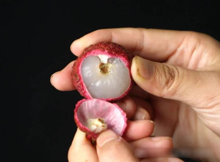 Bóc vỏ quả vải, phần đen trên cuống là gì? Nhiều người nghĩ là 