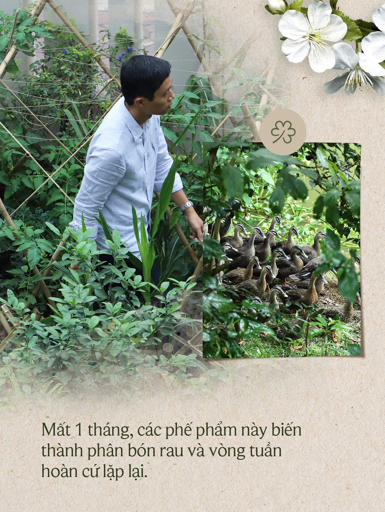 Chủ nhà hàng đầu tiên ở Hà Nội giành Sao xanh Michelin: Có những lúc, 2-3 hôm không một khách nào ghé qua- Ảnh 5.