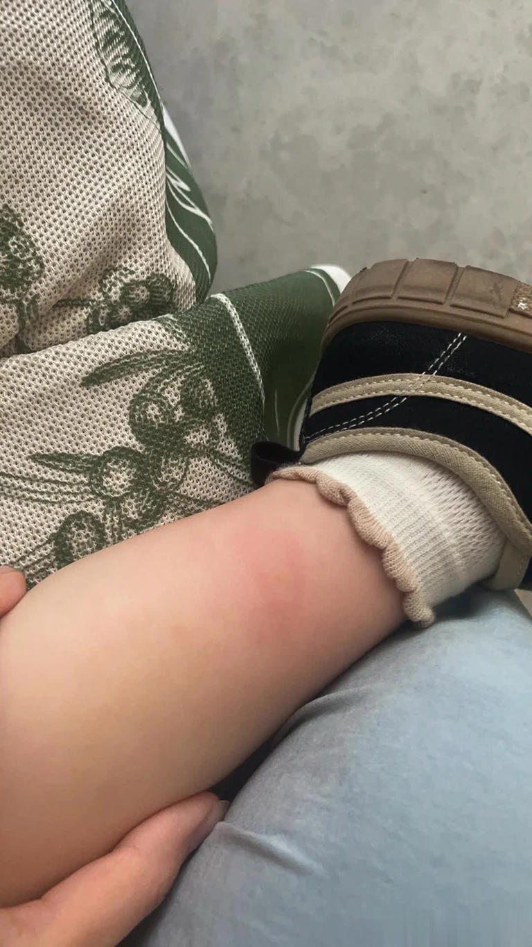 Cắt đôi quả chanh rồi "bôi khắp nhà", hiệu quả "vàng mười" khiến tôi ngỡ ngàng - Ảnh 6.