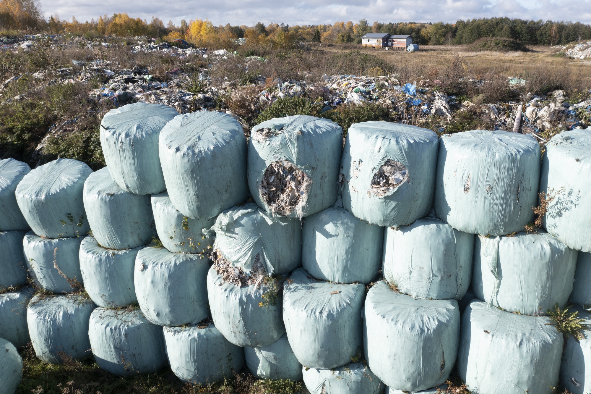 Nữ hoàng rác Thụy Điển bị bỏ tù vì đổ hàng nghìn tấn chất thải độc hại - Ảnh 1.