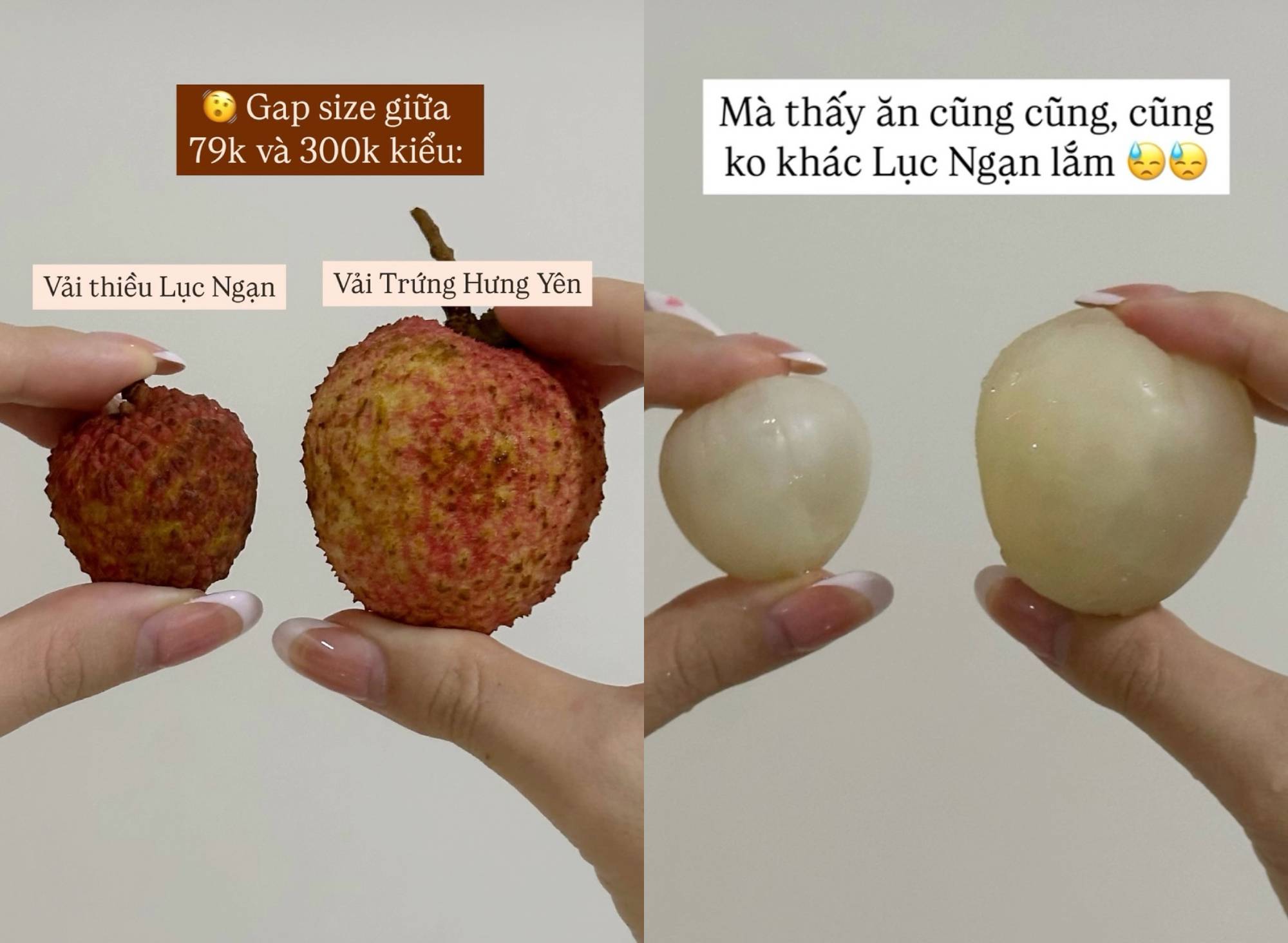Mẹ Cua Cốm khen vải trứng Phù Cừ ngon nhất, người bán vải Thanh Hà: "Nói năng làm sao để mọi người tôn trọng nhé" - Ảnh 4.