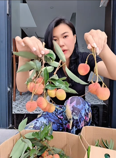 Mẹ Cua Cốm khen vải trứng Phù Cừ ngon nhất, người bán vải Thanh Hà: "Nói năng làm sao để mọi người tôn trọng nhé" - Ảnh 1.