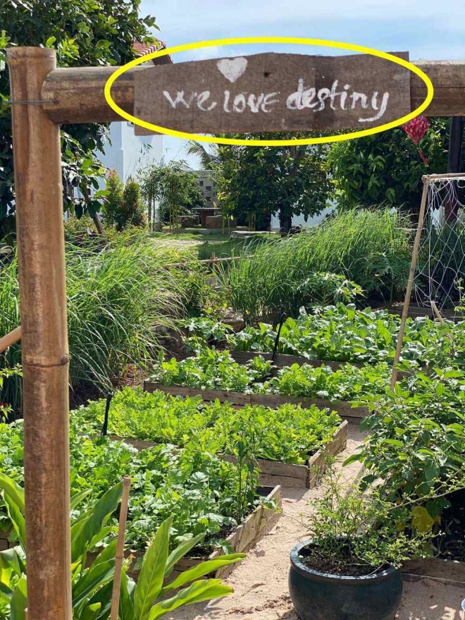 Sao Việt bỏ tiền tỷ đầu tư khu vui chơi tại gia cho con: Từ trung tâm thương mại tới sân chơi rộng lớn ai nhìn cũng mê- Ảnh 9.