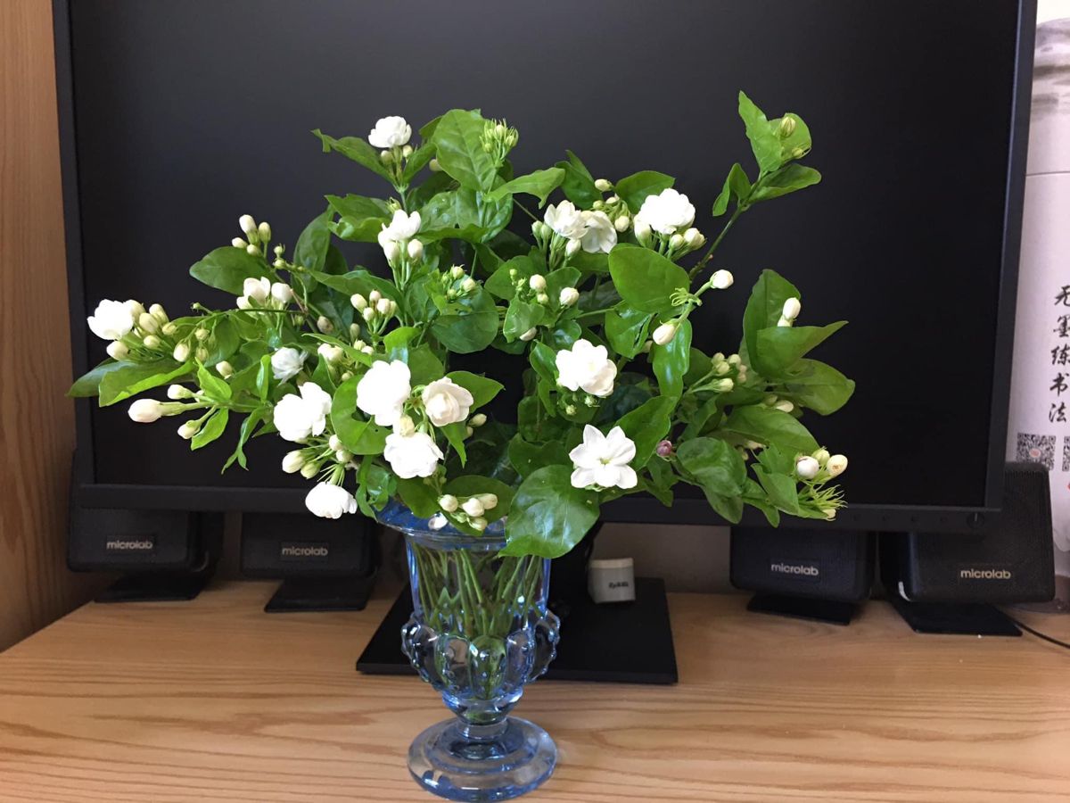 Bật điều hòa mùa hè: Người thông minh đặt 3 thứ này vào phòng, tôi hối hận vì giờ này mới biết- Ảnh 7.