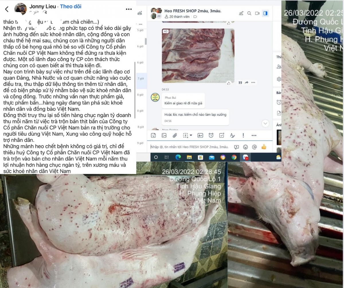 NÓNG: C.P. Việt Nam thừa nhận hình ảnh heo bệnh bị “tố” là có thật, được chụp tại cơ sở gia công thuê- Ảnh 2.