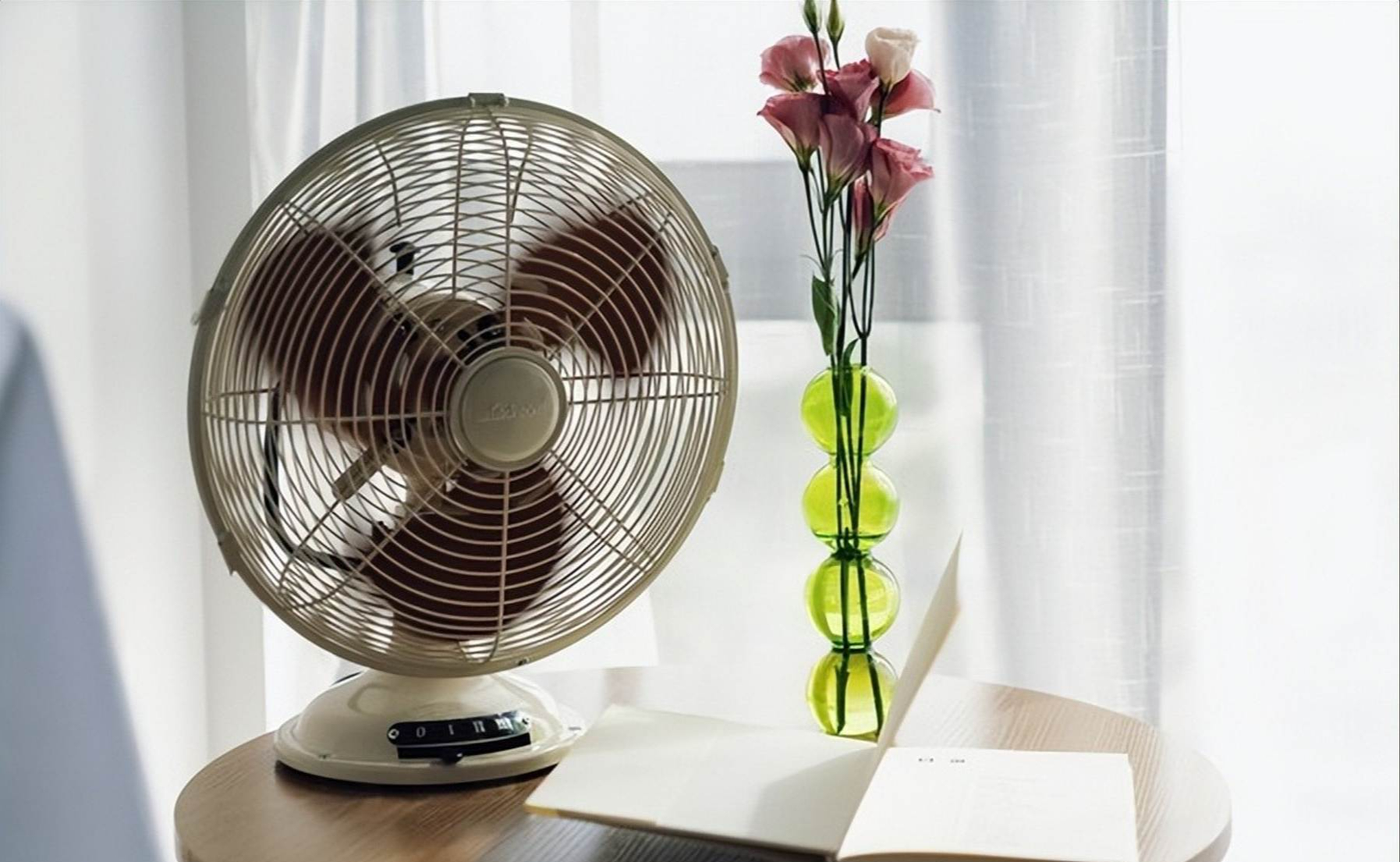 Bật điều hòa mùa hè: Người thông minh đặt 3 thứ này vào phòng, tôi hối hận vì giờ này mới biết- Ảnh 2.