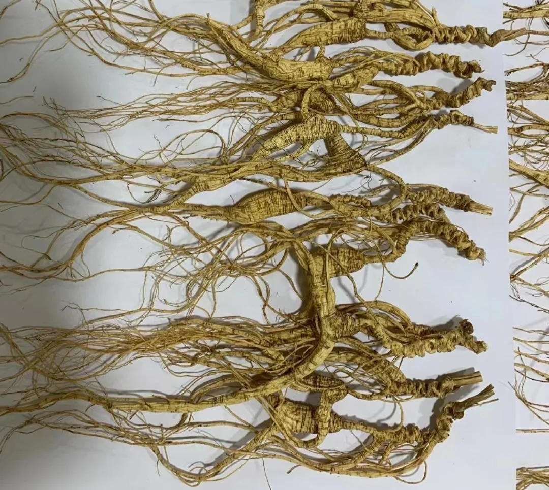 6 thực phẩm KHÔNG NÊN bảo quản trong tủ lạnh: Cái số 4 là sai lầm kinh điển!- Ảnh 4. 6 thực phẩm KHÔNG NÊN bảo quản trong tủ lạnh: Cái số 4 là sai lầm kinh điển!- Ảnh 4.