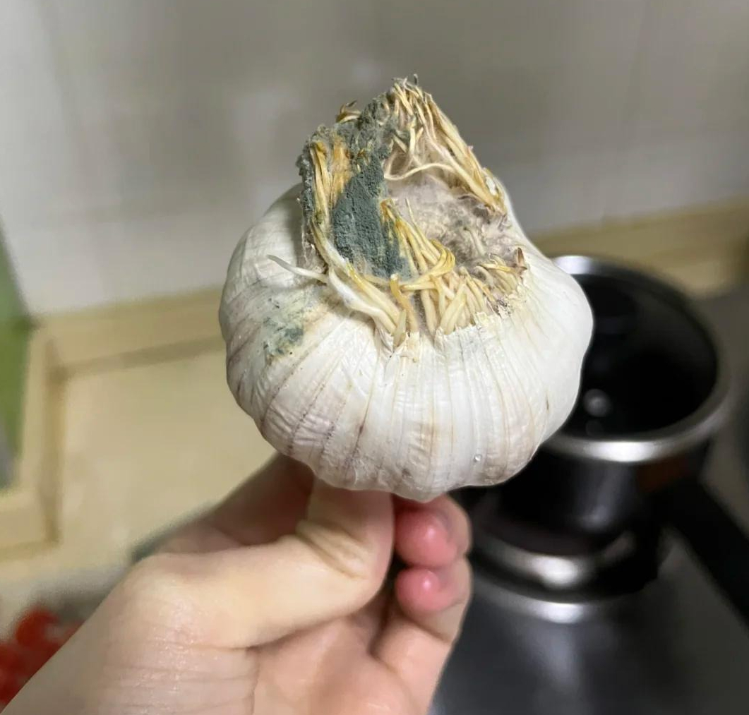 6 thực phẩm KHÔNG NÊN bảo quản trong tủ lạnh: Cái số 4 là sai lầm kinh điển!- Ảnh 7. 6 thực phẩm KHÔNG NÊN bảo quản trong tủ lạnh: Cái số 4 là sai lầm kinh điển!- Ảnh 7.