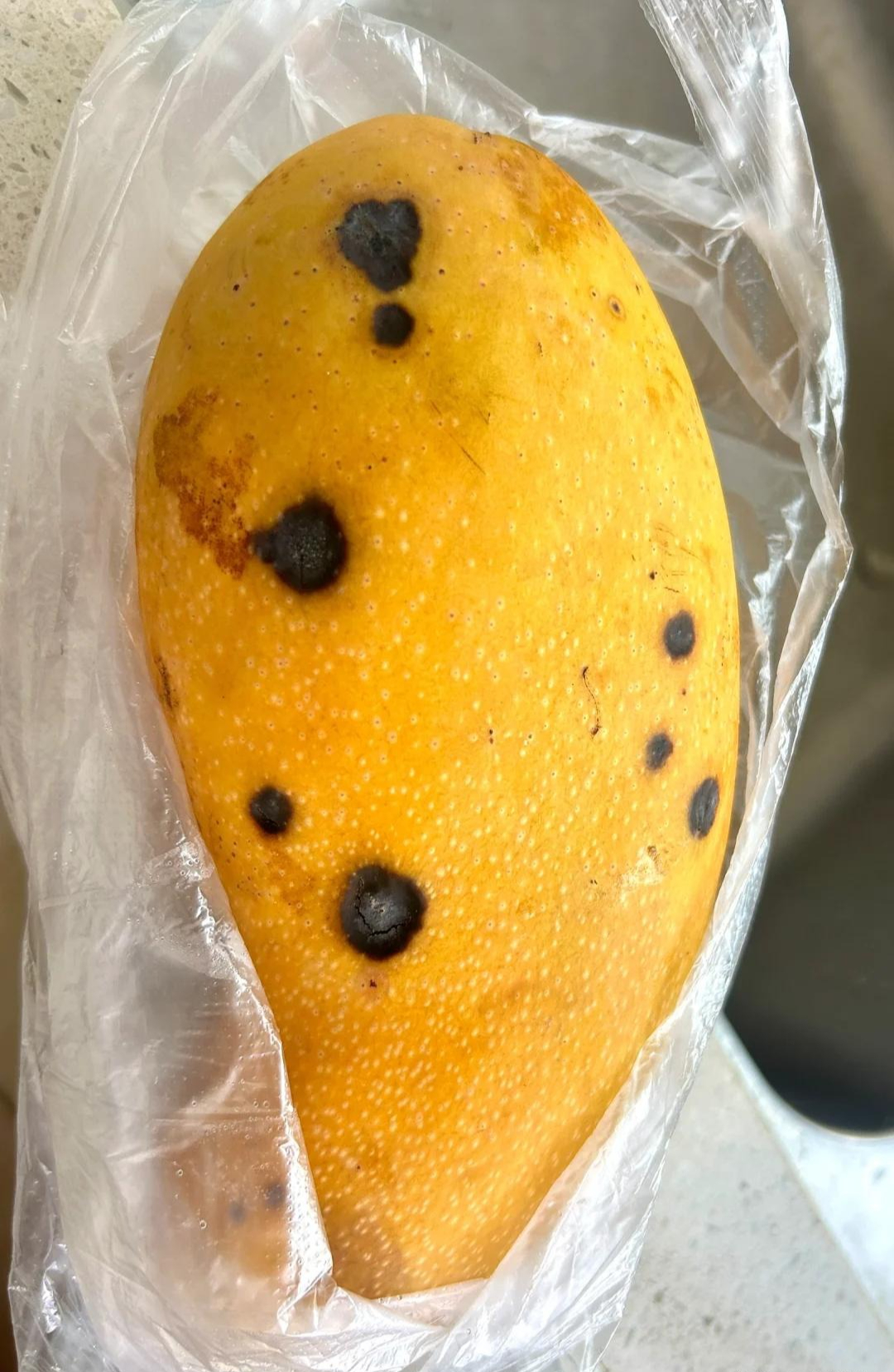 6 thực phẩm KHÔNG NÊN bảo quản trong tủ lạnh: Cái số 4 là sai lầm kinh điển!- Ảnh 2. 6 thực phẩm KHÔNG NÊN bảo quản trong tủ lạnh: Cái số 4 là sai lầm kinh điển!- Ảnh 2.