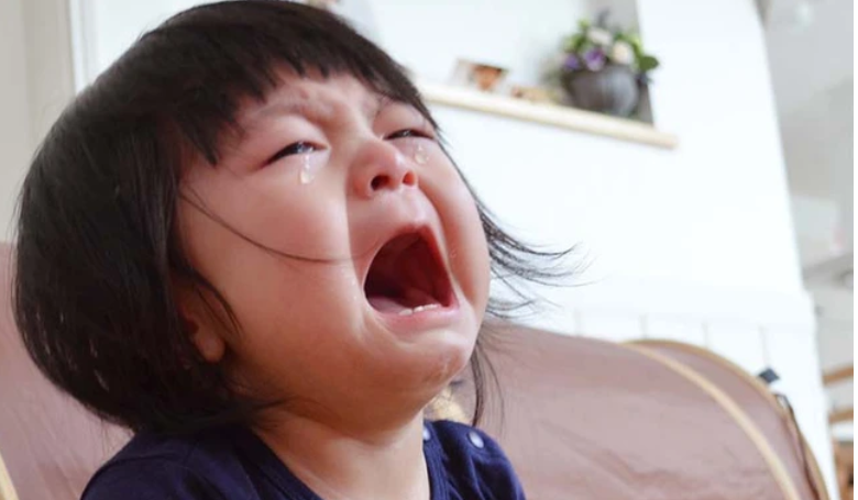 Trẻ đang vui chợt khóc ré khi có người lạ: 4 lý do có thể khiến mẹ giật mình- Ảnh 1.