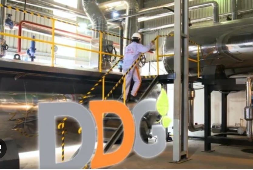 Vì sao 2 doanh nghiệp bị xử phạt hơn 600 triệu đồng?- Ảnh 1. Vì sao 2 doanh nghiệp bị xử phạt hơn 600 triệu đồng?- Ảnh 1.