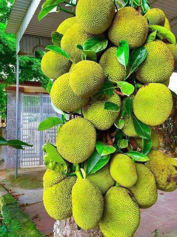 Vùng đất của những món ăn độc đáo, giản dị, đã thử 1 lần là nhớ mãi không quên!