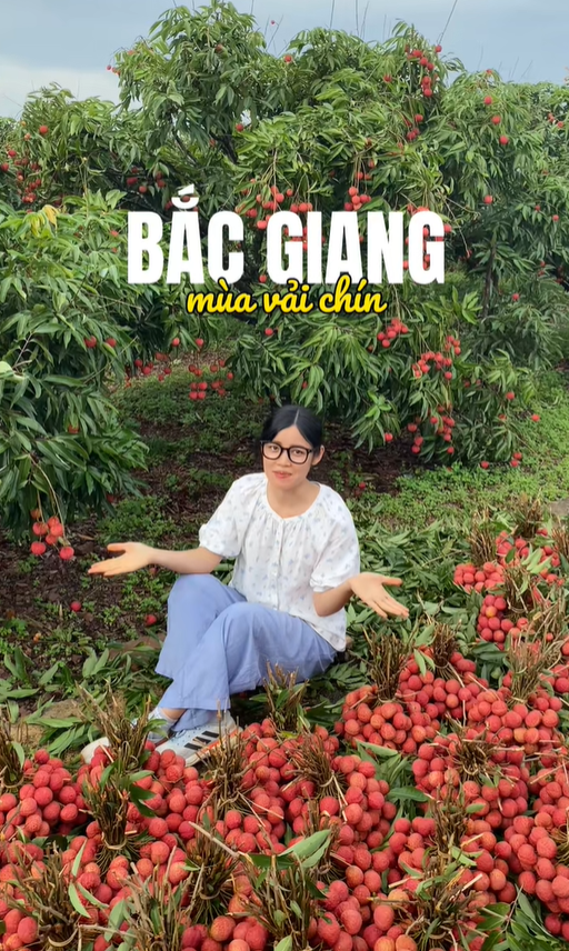 Khối nghỉ hè dùng TikTok rao bán vải hộ bố mẹ, 2h sáng được huy động ra vườn soi đèn thu hoạch