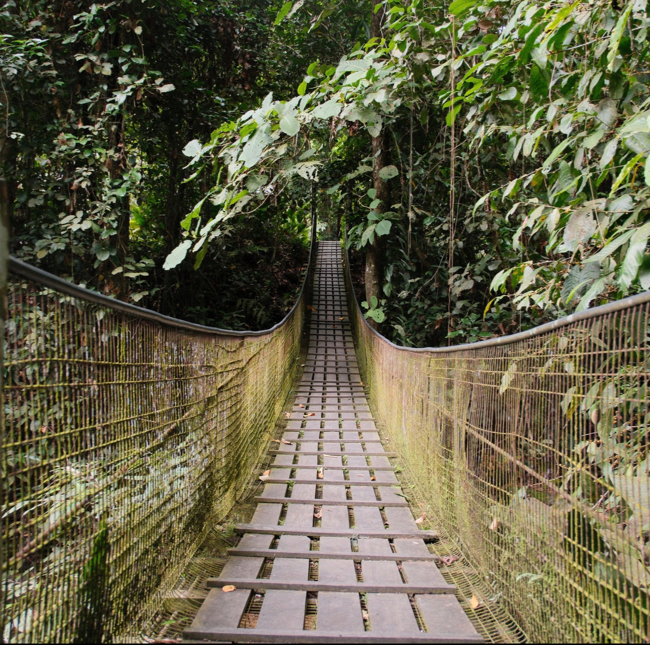 Khám phá làng văn hoá Mari Mari, Malaysia: Dẫn bước du khách tìm về nguồn cội và các giá trị bền vững - Ảnh 3.
