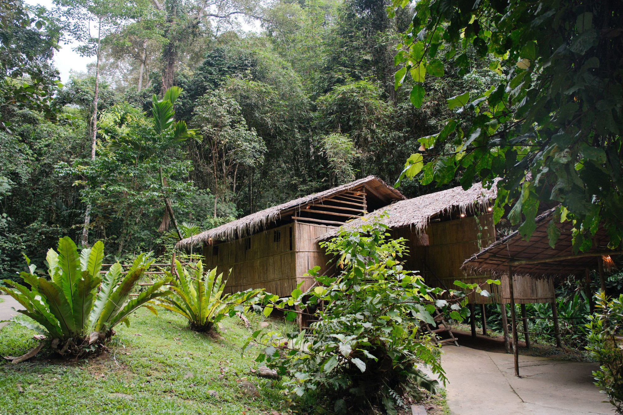 Khám phá làng văn hoá Mari Mari, Malaysia: Dẫn bước du khách tìm về nguồn cội và các giá trị bền vững - Ảnh 4.