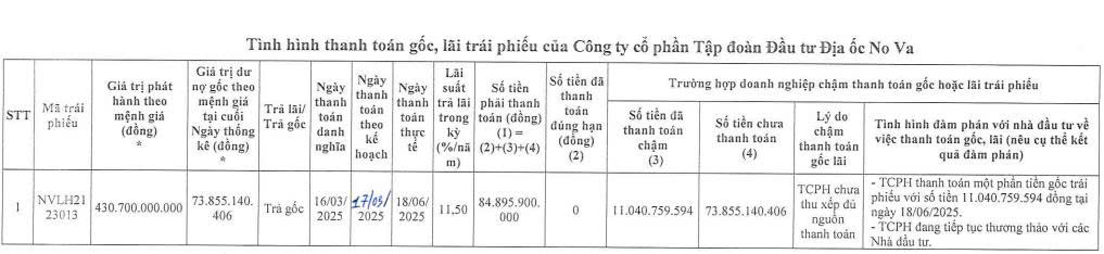Novaland tiếp tục chậm thanh toán gốc trái phiếu - Ảnh 1.