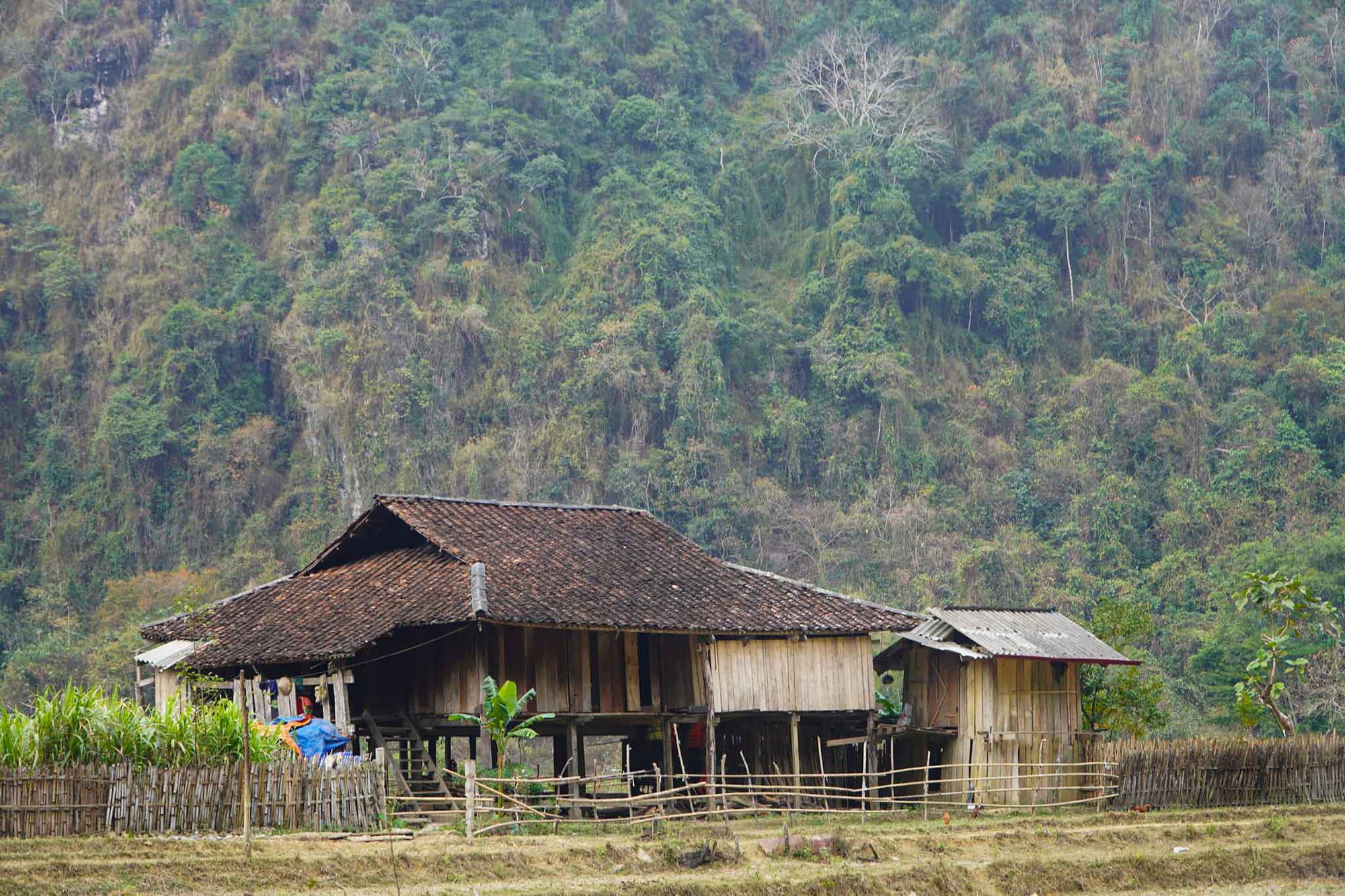 Ngôi làng “bị bỏ quên” ở miền Bắc: Không điện, không đường, nhưng vẫn đón nườm nượp khách ghé thăm - Ảnh 8.