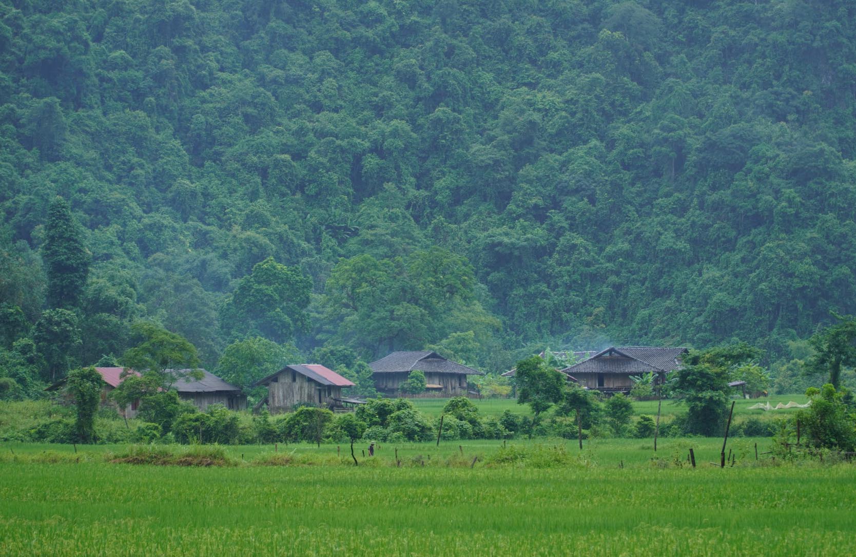 Ngôi làng “bị bỏ quên” ở miền Bắc: Không điện, không đường, nhưng vẫn đón nườm nượp khách ghé thăm - Ảnh 1.