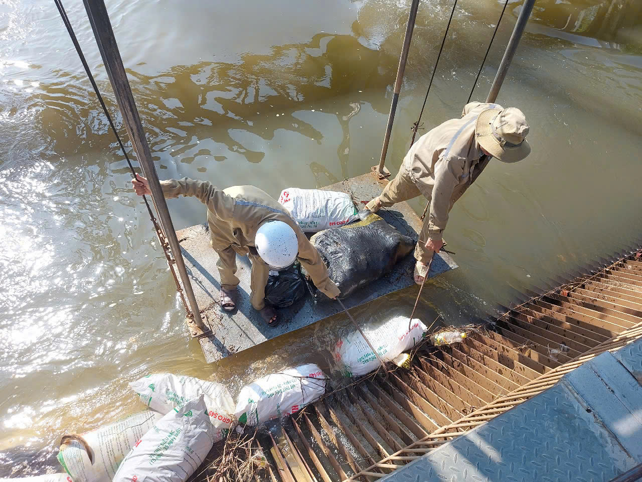 Hình ảnh heo bệnh chết nằm la liệt trên kênh dẫn nước ở Bình Dương - Ảnh 3.