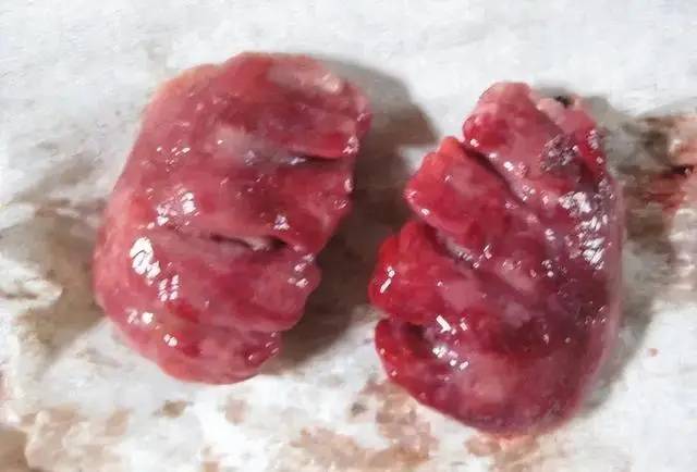 Thịt gà ngon và bổ dưỡng nhưng có 7 bộ phận của con gà chớ dại mà ăn nhiều vì dễ chứa rác thải, độc tố, kim loại nặng- Ảnh 5. Thịt gà ngon và bổ dưỡng nhưng có 7 bộ phận của con gà chớ dại mà ăn nhiều vì dễ chứa rác thải, độc tố, kim loại nặng- Ảnh 5.
