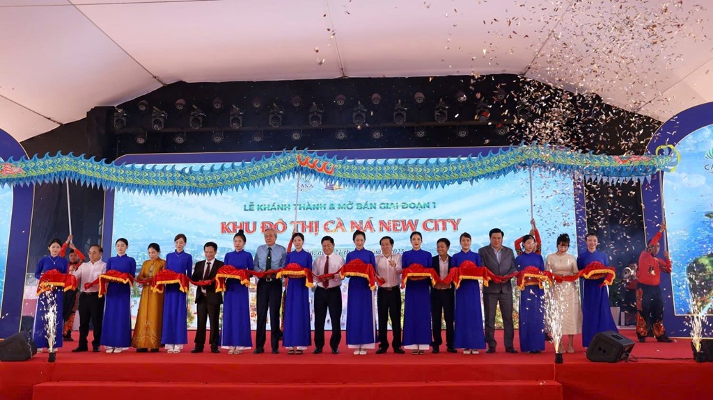 Ai đứng sau ACT Holdings - chủ đầu tư Khu đô thị mới Đầm Cà Ná? - Ảnh 1.
