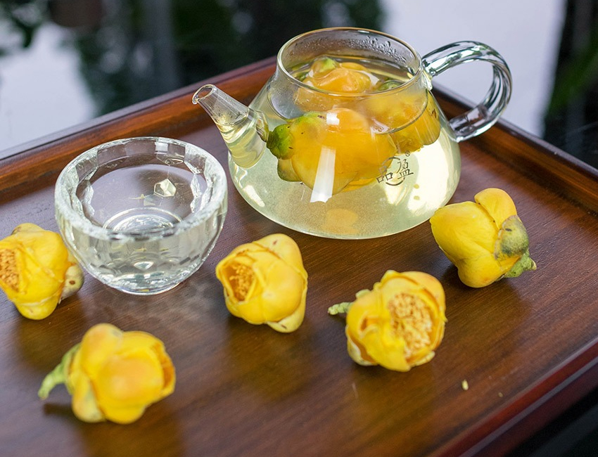 Loài cây nhà giàu coi như báu vật, trồng đâu lộc đó, tiền tụ như mây kéo