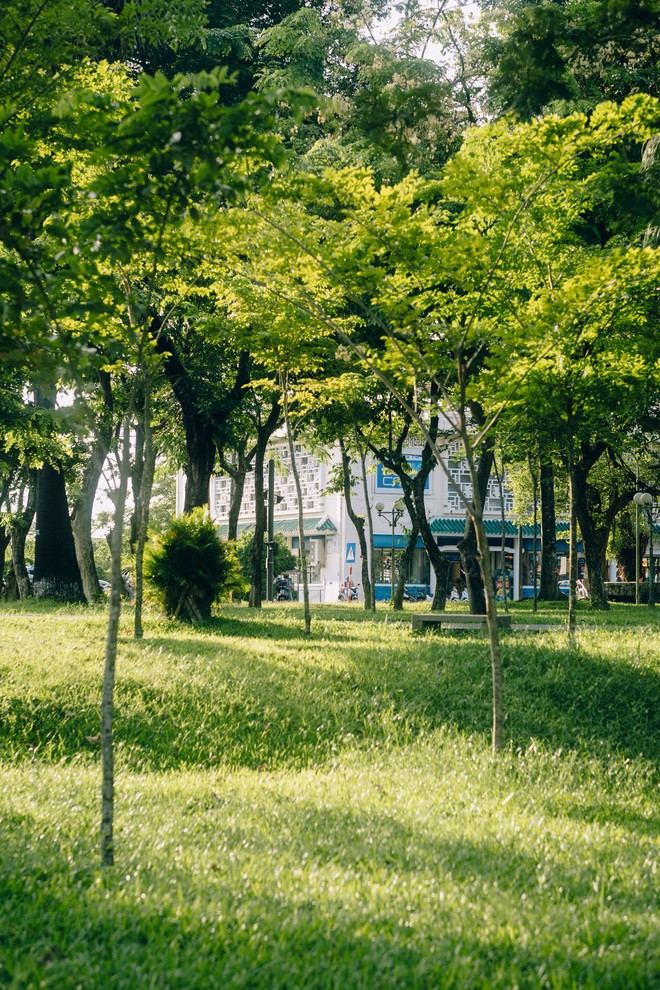 Tấm ảnh không tin nổi là Huế, dân tình rần rần săn lùng địa chỉ 