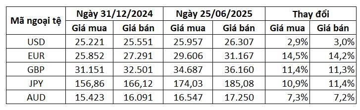 VND mất giá 14% so với Euro kể từ đầu năm, giảm 7 – 11% so với bảng Anh, yên Nhật, đô la Úc - Ảnh 1.