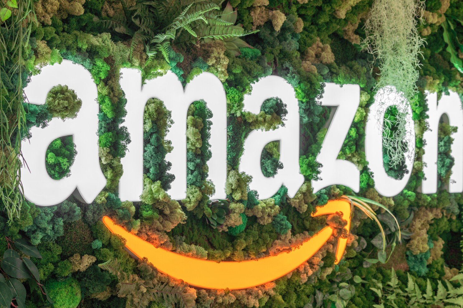 Một Bigtech đứng đầu về lượng phát thải muốn mua tín chỉ carbon rừng của Việt Nam - Ảnh 1.