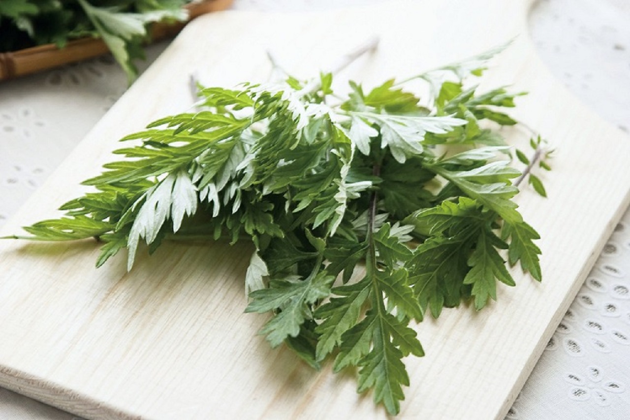 Loại lá dân dã ở Việt Nam được Trung Quốc ví là "báu vật trời ban": Cực nhiều lợi ích nếu biết tận dụng - Ảnh 3.