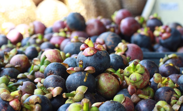 Sau sầu riêng, thêm một loại trái cây của Thái Lan gặp hạn: Giá thấp nhất trong 10 năm, Việt Nam cũng đang xuất khẩu rất nhiều - Ảnh 1.