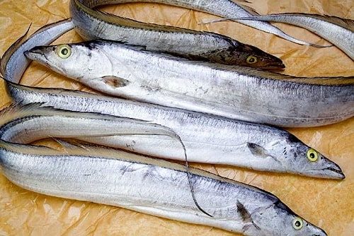 Khi đi chợ, người thông minh sẽ tránh ngay 3 loại cá dễ gây ngộ độc, nhưng sẽ mua 4 loại cá thơm ngon và cực kỳ bổ dưỡng- Ảnh 7.