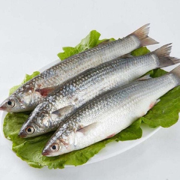 Khi đi chợ, người thông minh sẽ tránh ngay 3 loại cá dễ gây ngộ độc, nhưng sẽ mua 4 loại cá thơm ngon và cực kỳ bổ dưỡng- Ảnh 6.