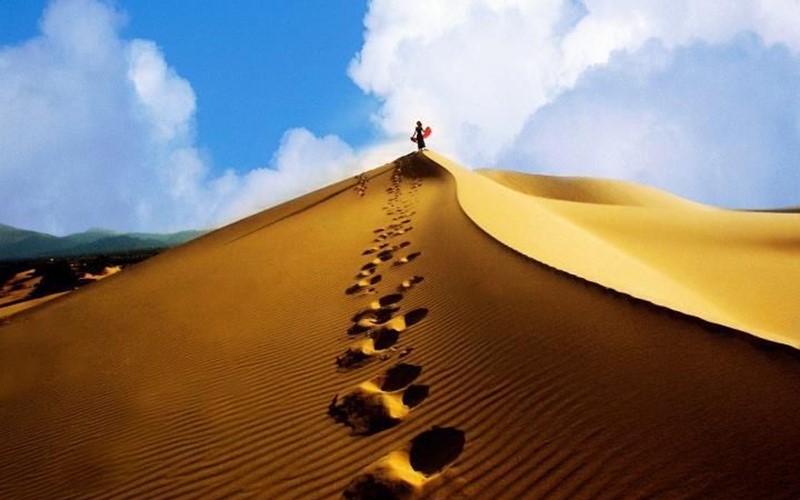 Dải đất miền Trung gió Lào cát trắng có món đặc sản độc nhất vô nhị khiến người sành vị cũng phải săn lùng, hữu duyên lắm mới được thưởng thức!