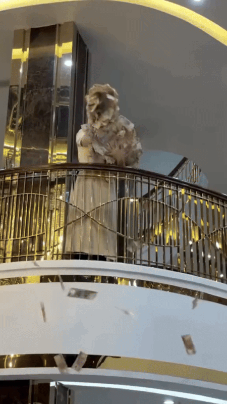 "Bóc" 2 BĐS trên 100 tỷ của Hoàng Hường, một trong số đó bị soi có dấu hiệu lạ- Ảnh 4.