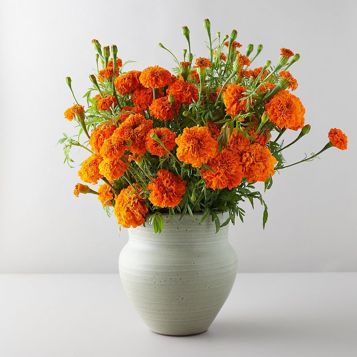 4 loại hoa KHÔNG nên đặt trên bàn thờ ngày Rằm, mồng Một: Lộc tài đội nón ra đi lúc nào không hay- Ảnh 4.