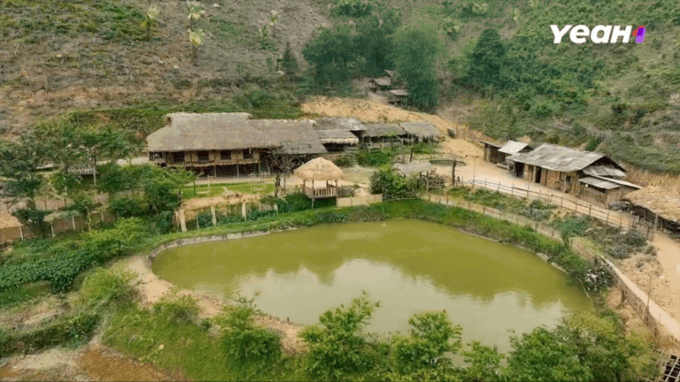 Homestay tại Lào Cai full phòng 3 tháng liền, chị Thông Bản Liền trở thành hiện tượng sau Gia Đình Haha- Ảnh 12.