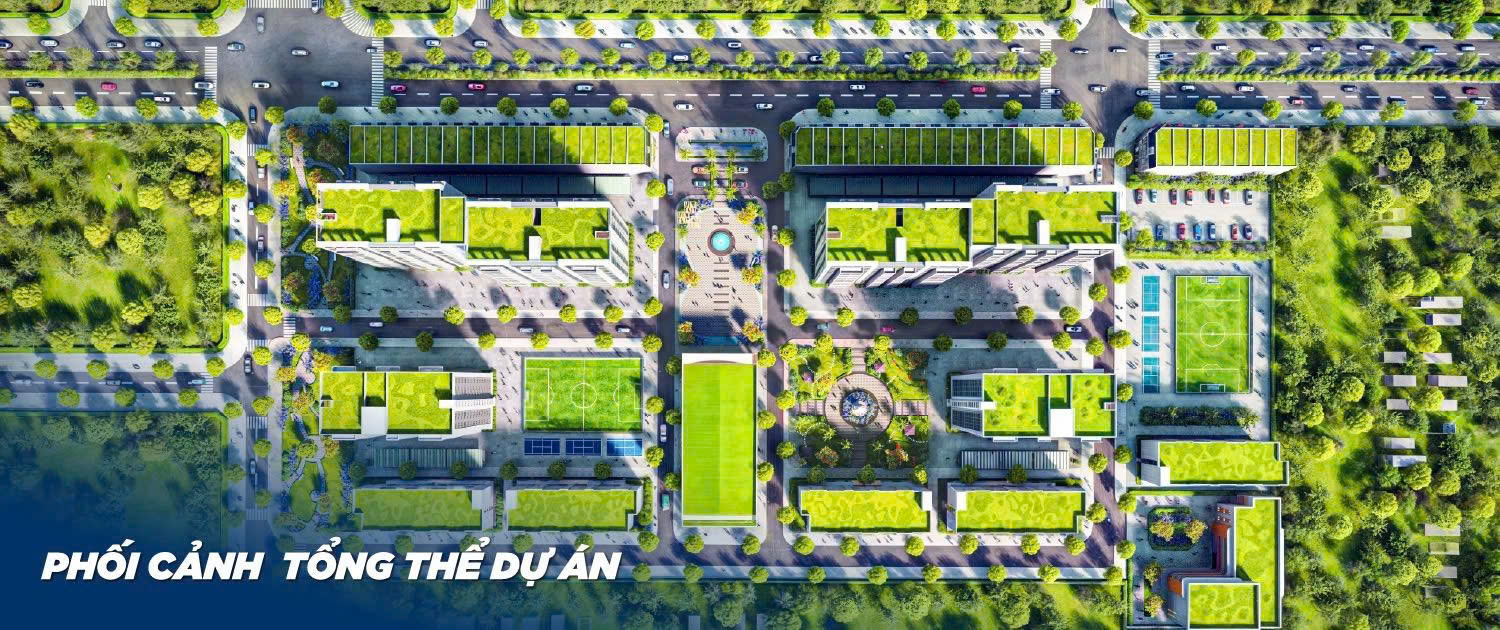 Danh tính doanh nghiệp làm dự án chung cư hơn 3.500 tỷ đồng tại Bình Định - Ảnh 3.