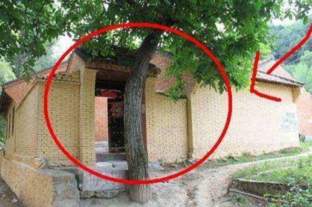 Trước nhà phạm "tứ kỵ" thì tài lộc sớm đội nón ra đi, gia chủ không ốm đau cũng hao tài - Ảnh 1.