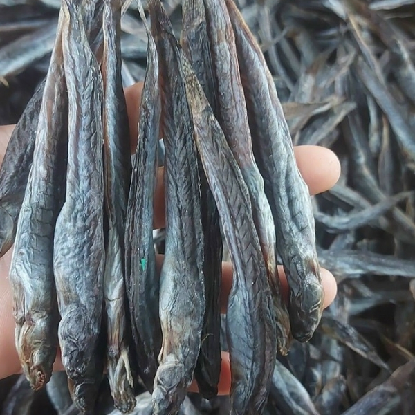 Loại cá "nhà nghèo" nay thành đặc sản, phơi khô bán 700.000 đồng/kg, nhà giàu mê như điếu đổ - Ảnh 6. Loại cá "nhà nghèo" nay thành đặc sản, phơi khô bán 700.000 đồng/kg, nhà giàu mê như điếu đổ - Ảnh 6.