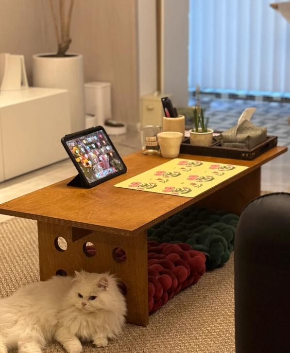 Không còn bàn trà trong phòng khách: Xu hướng mới ở Trung Quốc khiến ai cũng gật gù vì quá thông minh- Ảnh 4.