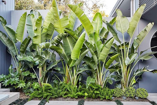 Ông bà dặn kỹ: 