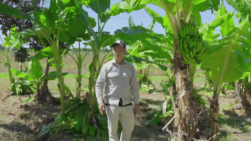 Toàn cảnh trang trại được Quang Linh rót vốn tiền tỷ: hiện trạng ra sao sau 2 tháng ông chủ gặp biến cố- Ảnh 7. Toàn cảnh trang trại được Quang Linh rót vốn tiền tỷ: hiện trạng ra sao sau 2 tháng ông chủ gặp biến cố- Ảnh 7.