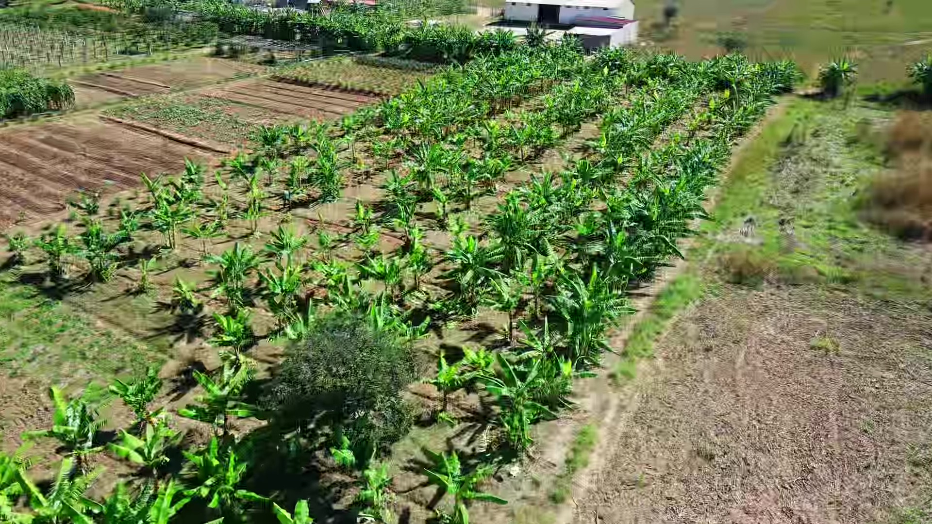 Toàn cảnh trang trại được Quang Linh rót vốn tiền tỷ: hiện trạng ra sao sau 2 tháng ông chủ gặp biến cố- Ảnh 1. Toàn cảnh trang trại được Quang Linh rót vốn tiền tỷ: hiện trạng ra sao sau 2 tháng ông chủ gặp biến cố- Ảnh 1.