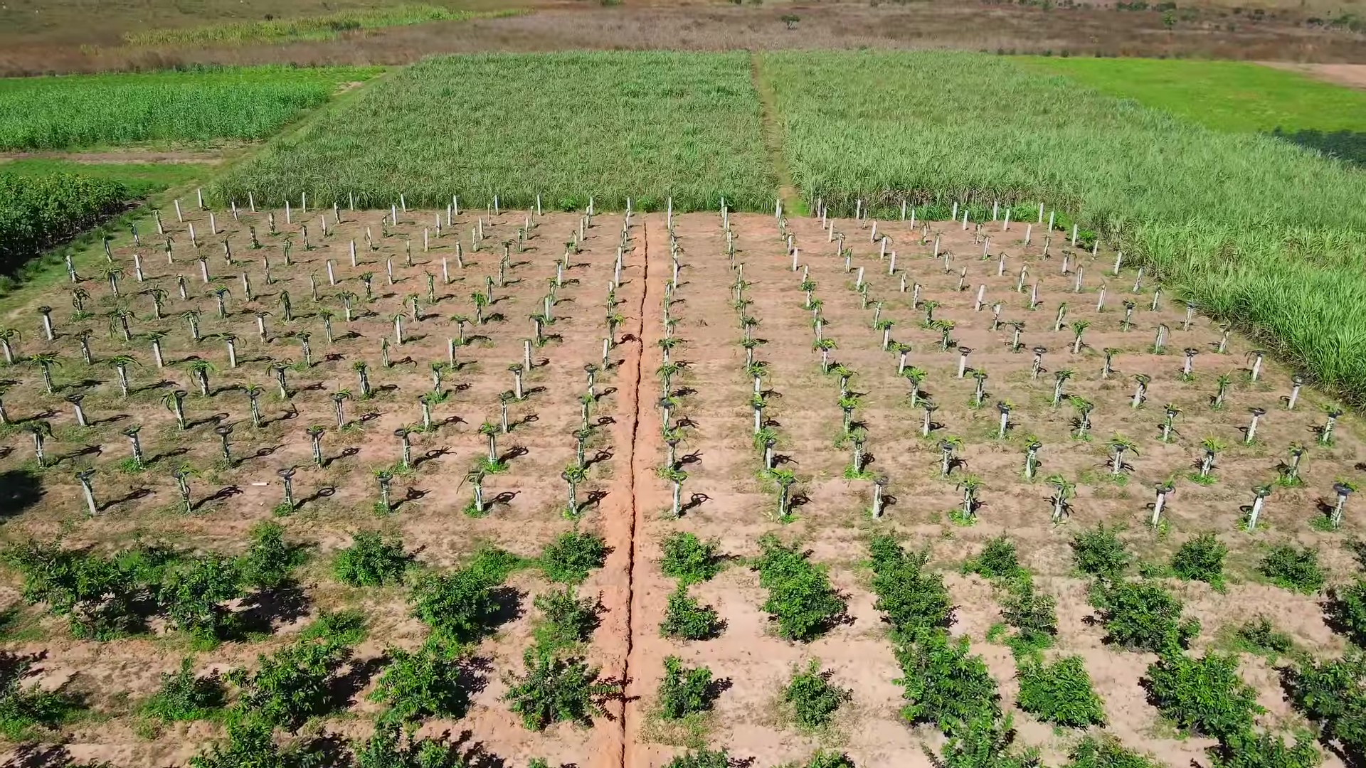 Toàn cảnh trang trại được Quang Linh rót vốn tiền tỷ: hiện trạng ra sao sau 2 tháng ông chủ gặp biến cố- Ảnh 4. Toàn cảnh trang trại được Quang Linh rót vốn tiền tỷ: hiện trạng ra sao sau 2 tháng ông chủ gặp biến cố- Ảnh 4.