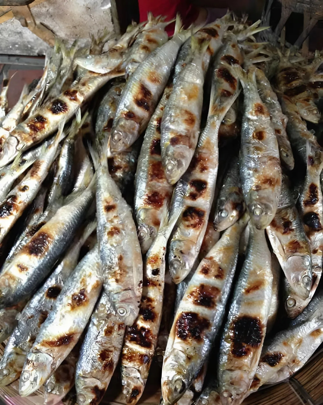 7 loại cá được ví như "nhân sâm dưới nước", thậm chí tốt hơn thịt gấp 10 lần- Ảnh 3.